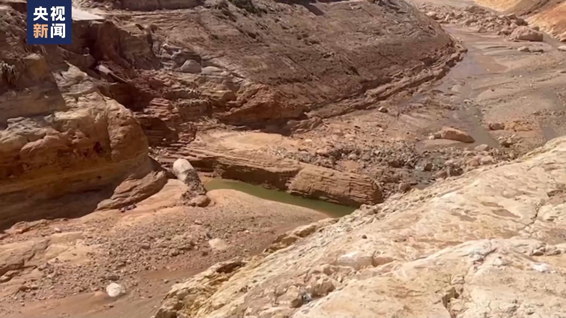 水果玛丽三元游戏